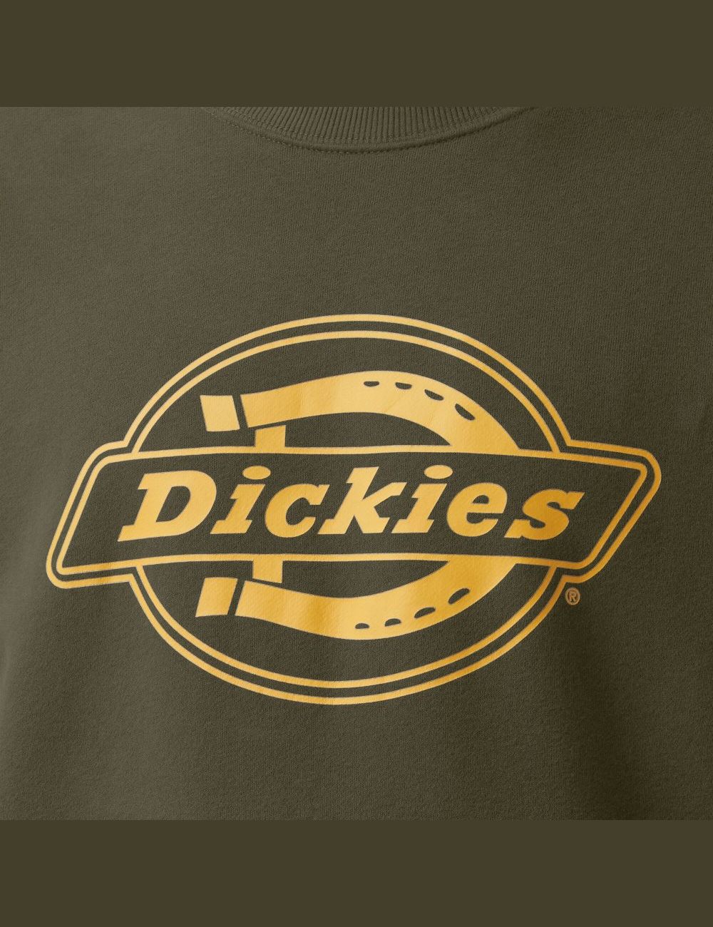 Sweatshirt Dickies Fleece Logo Graphique Vert | 429JRDZYC