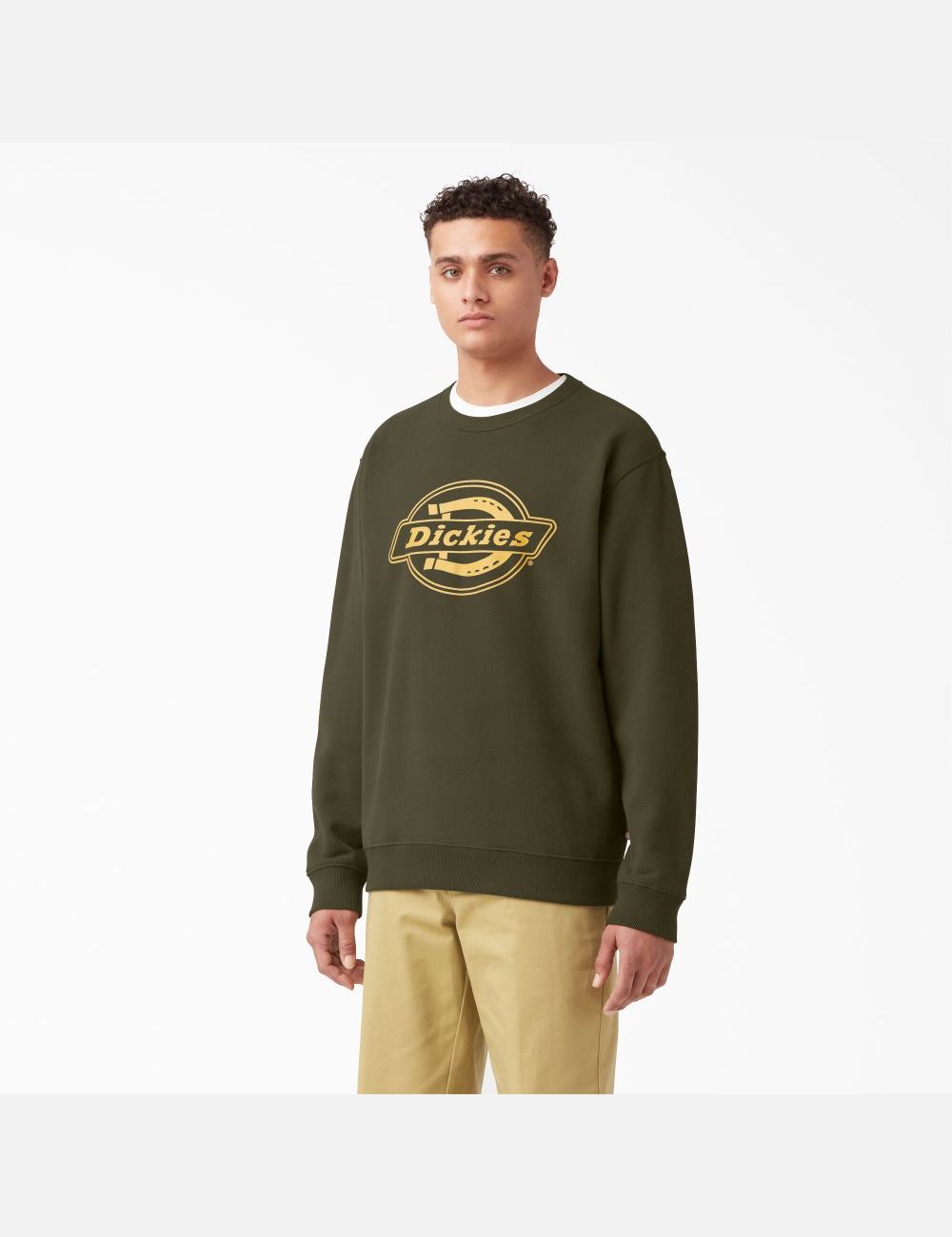 Sweatshirt Dickies Fleece Logo Graphique Vert | 429JRDZYC