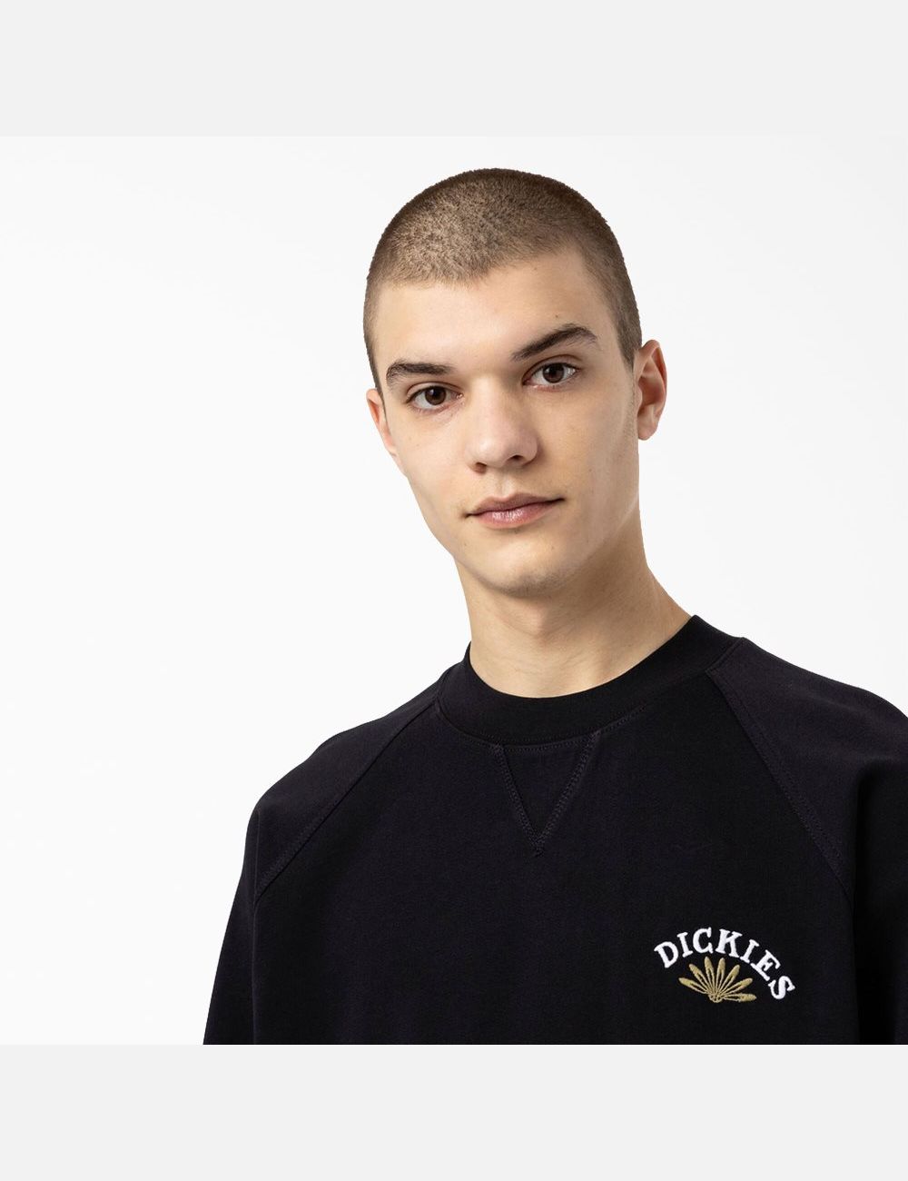 Sweatshirt Dickies Fort Lewis Embroidered Noir | 092JUKIVF