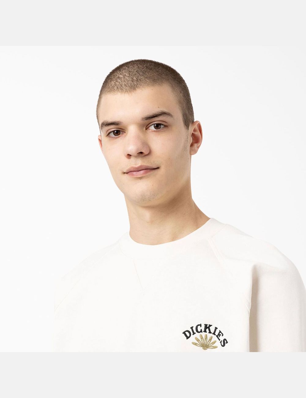 Sweatshirt Dickies Fort Lewis Embroidered Blanche | 495CPYJDB