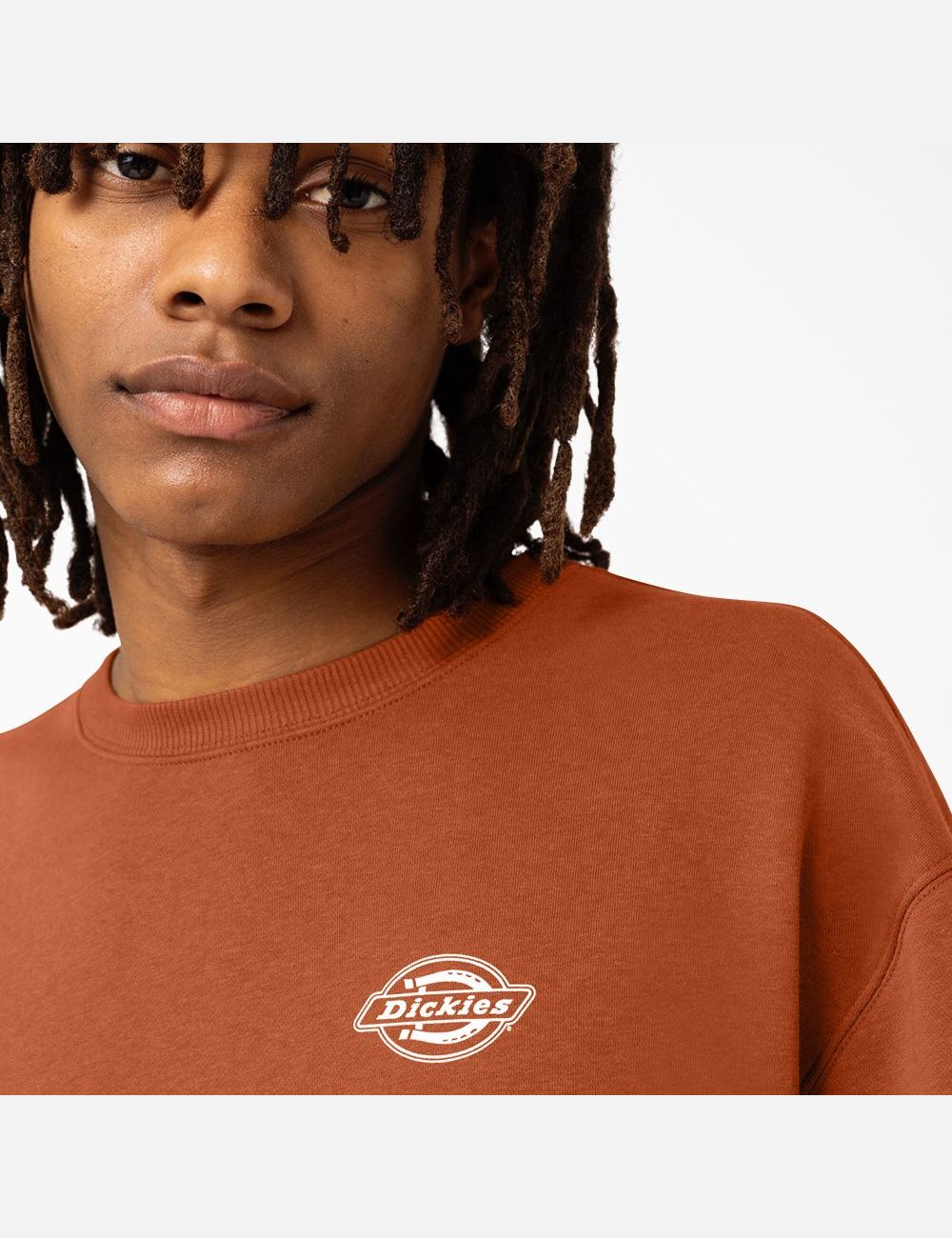 Sweatshirt Dickies Holtville Marron | 829EGMNDB