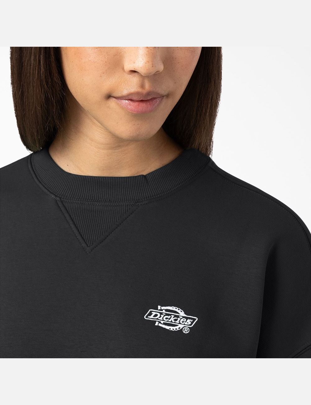 Sweatshirt Dickies Summerdale Noir | 672QHRVMB