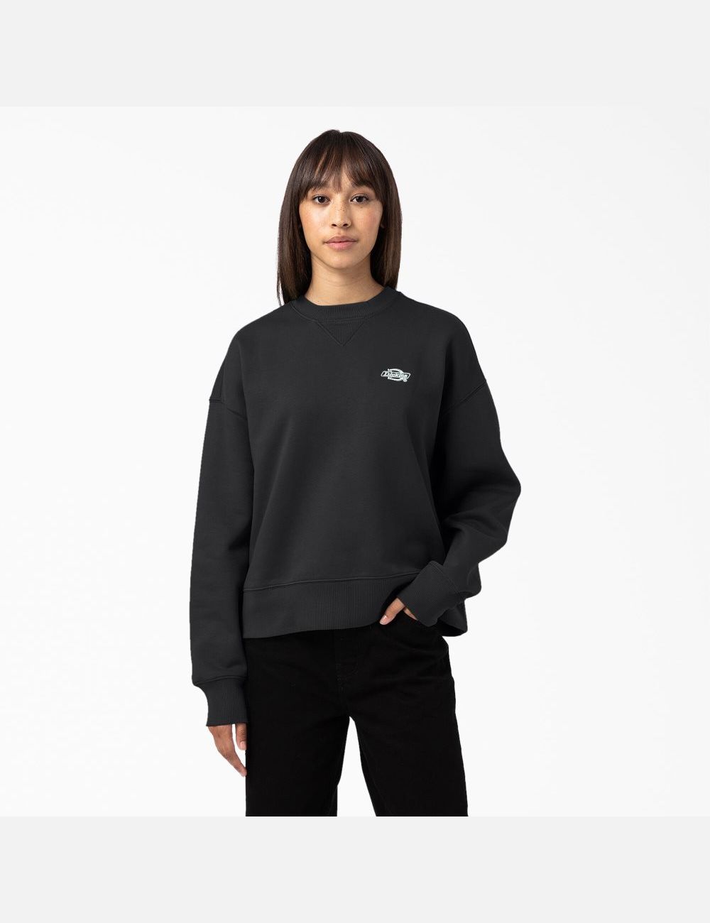 Sweatshirt Dickies Summerdale Noir | 672QHRVMB