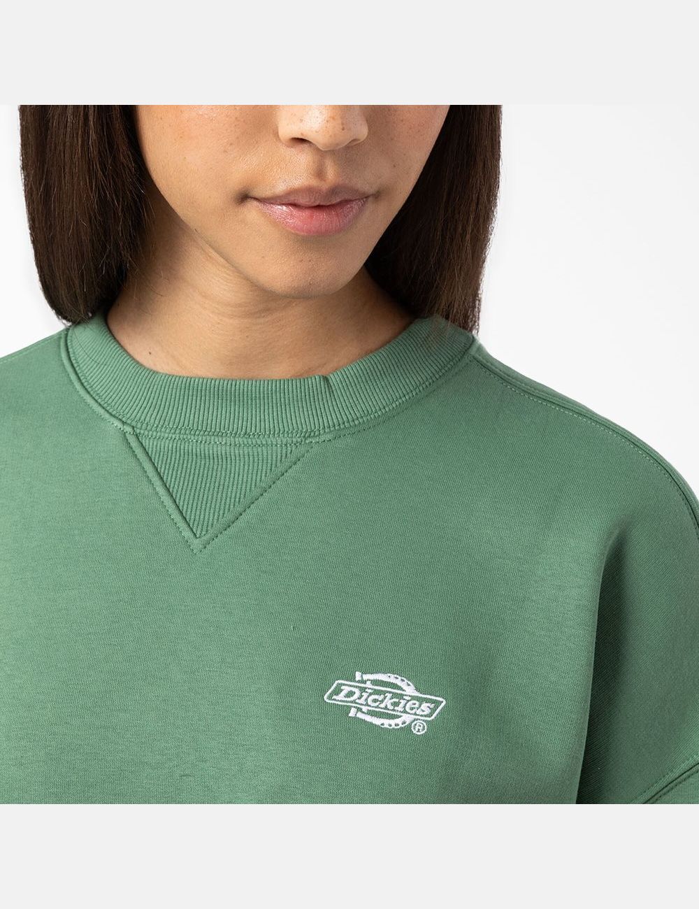 Sweatshirt Dickies Summerdale Vert Foncé | 460OTVYHW