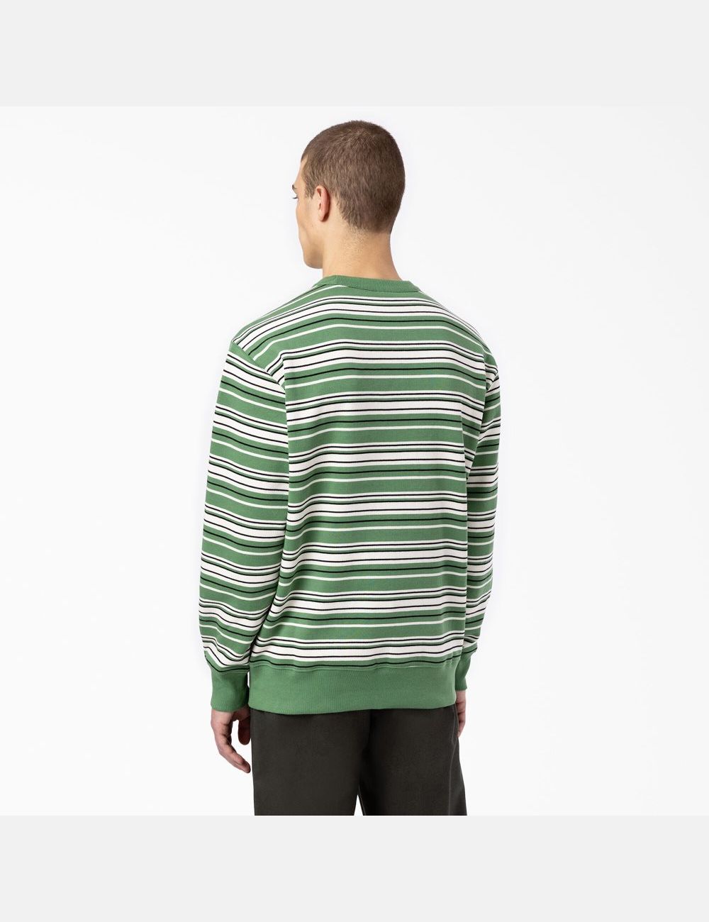 Sweatshirt Dickies Westover Rayé Crew Neck Vert Foncé Stripes | 365HJEZFN