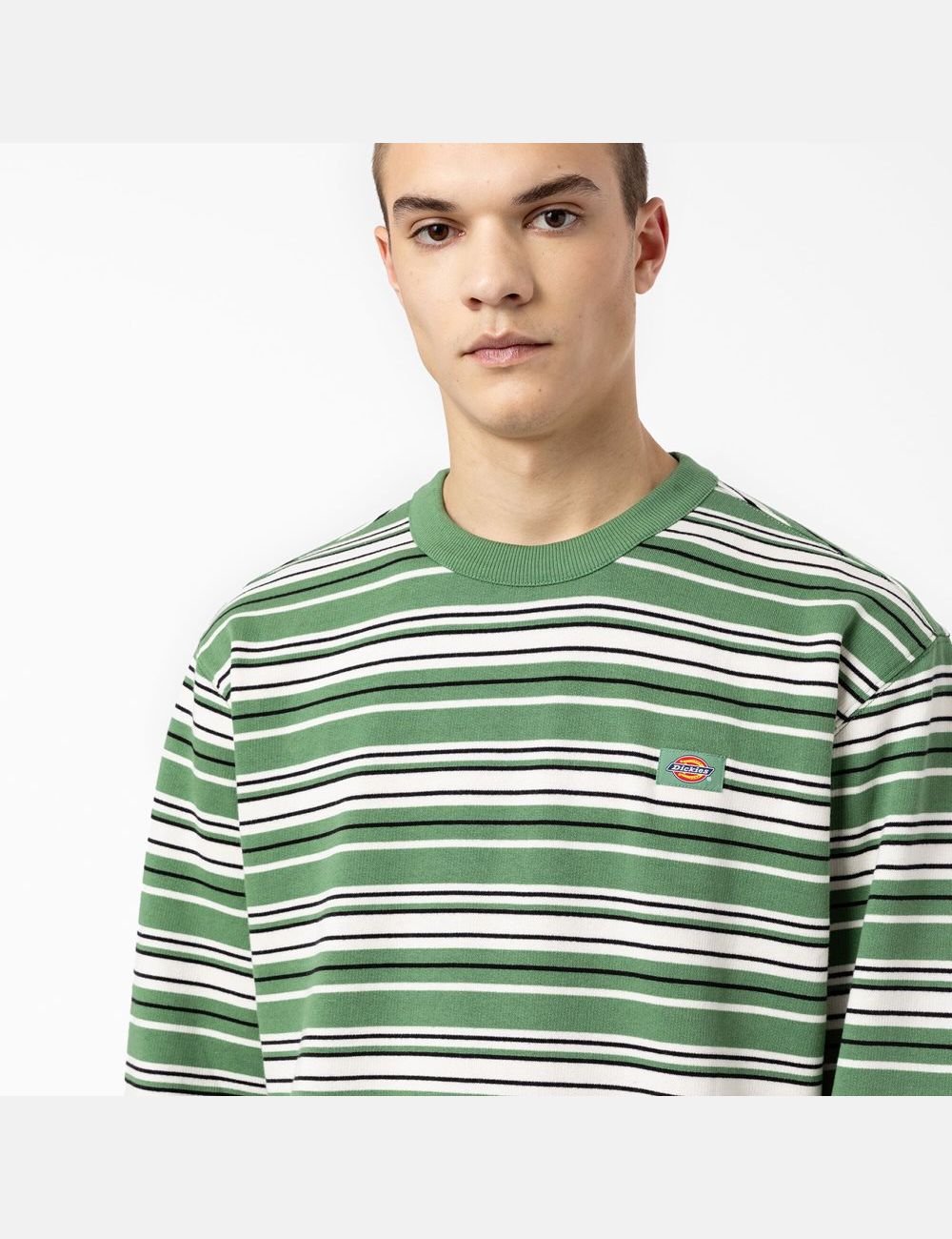 Sweatshirt Dickies Westover Rayé Crew Neck Vert Foncé Stripes | 365HJEZFN