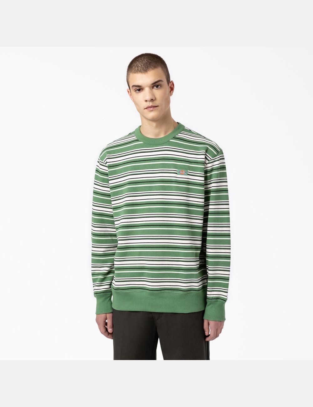 Sweatshirt Dickies Westover Rayé Crew Neck Vert Foncé Stripes | 365HJEZFN