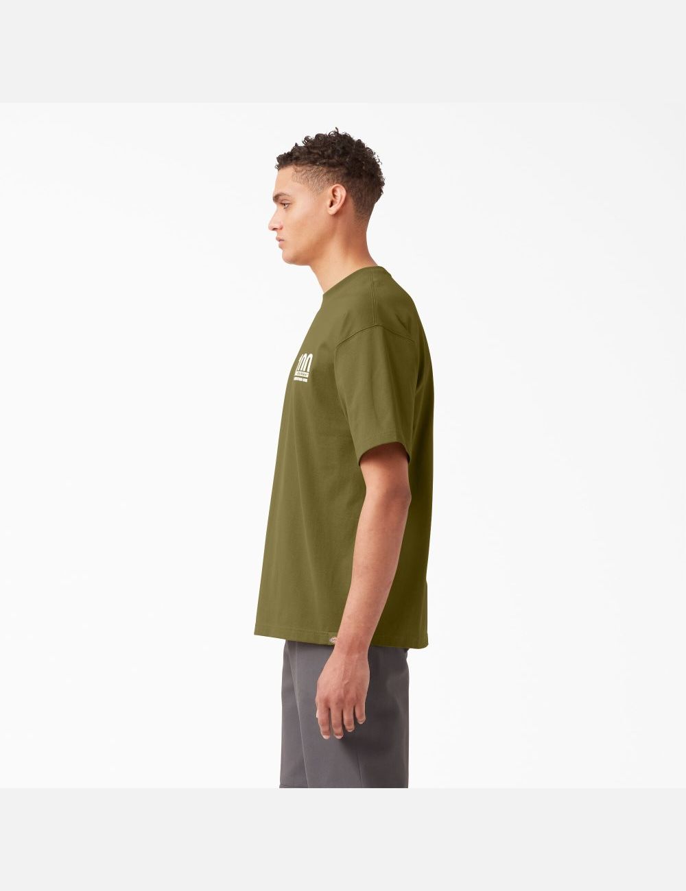 T Shirts Dickies 100 Year Milestone Graphique Vert | 192EDFQRM