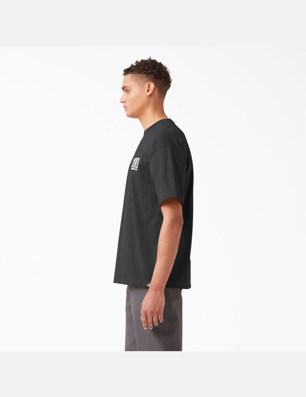 T Shirts Dickies 100 Year Milestone Graphique Noir | 695DQSJIL