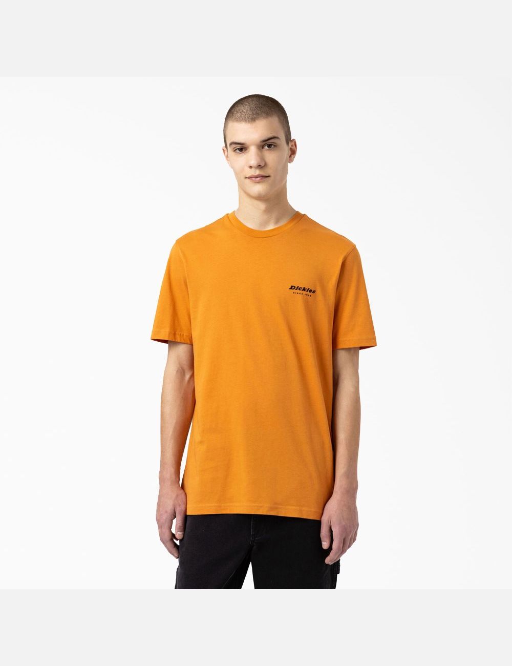 T Shirts Dickies Artondale Graphique Doré | 864YCUJHV