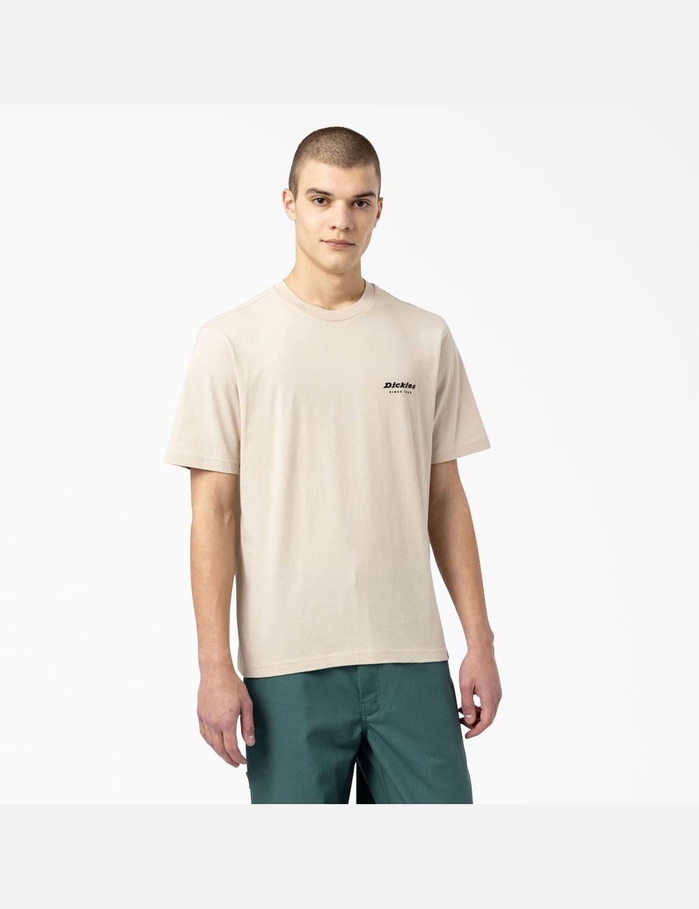 T Shirts Dickies Artondale Graphique Multicolore | 240LTVHWE