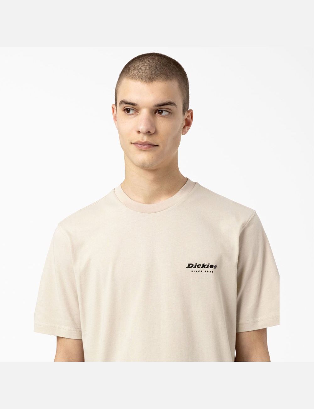 T Shirts Dickies Artondale Graphique Multicolore | 240LTVHWE