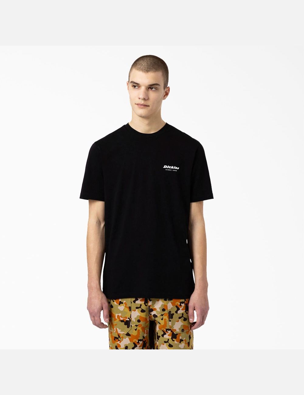 T Shirts Dickies Artondale Graphique Noir | 354JXLGSV