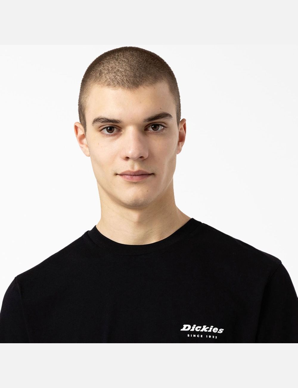 T Shirts Dickies Artondale Graphique Noir | 354JXLGSV