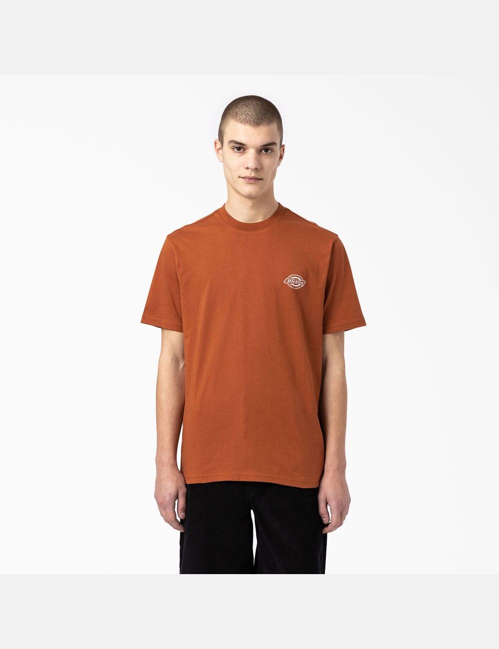 T Shirts Dickies Back Logo Graphique Marron | 253UVXGLK