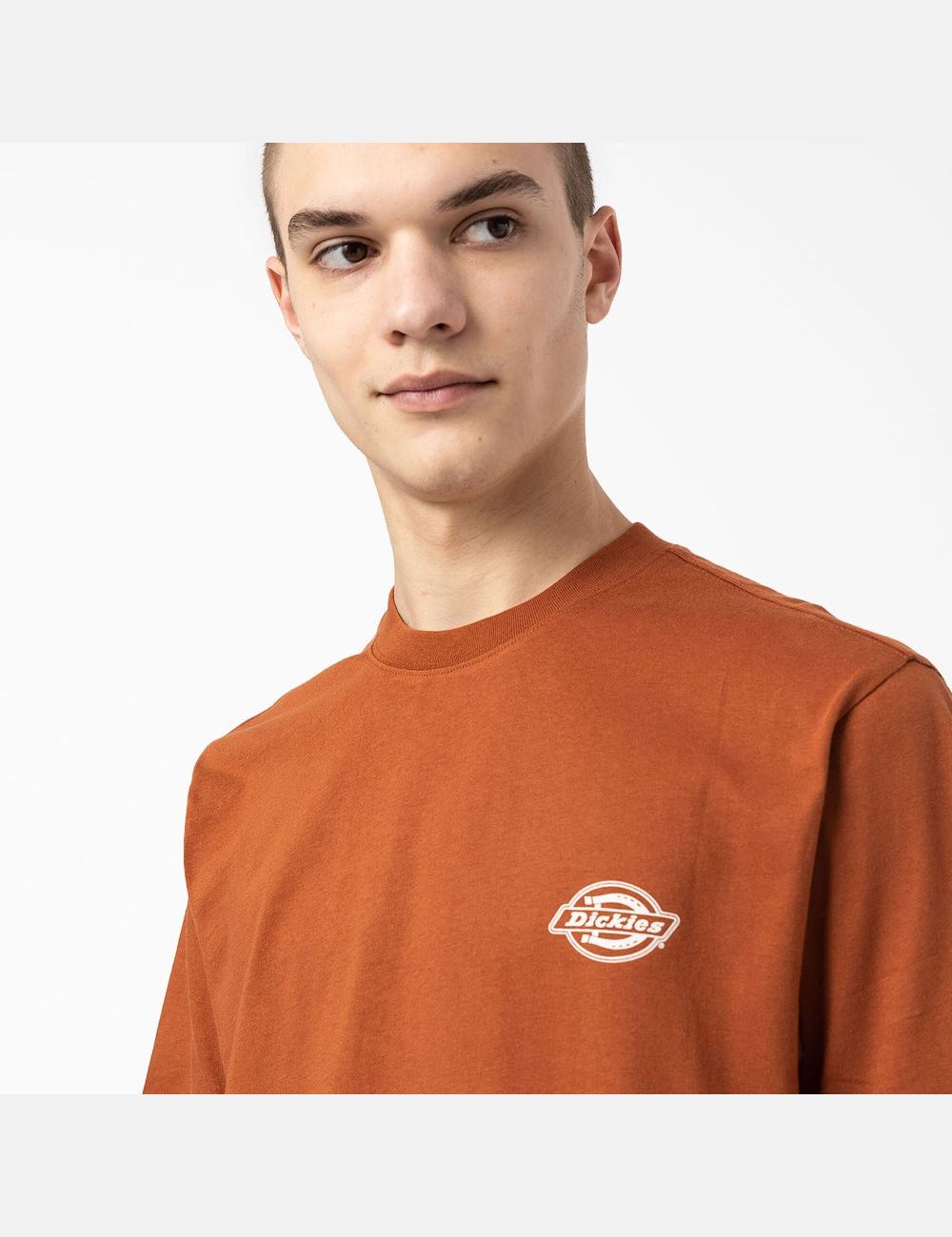 T Shirts Dickies Back Logo Graphique Marron | 253UVXGLK