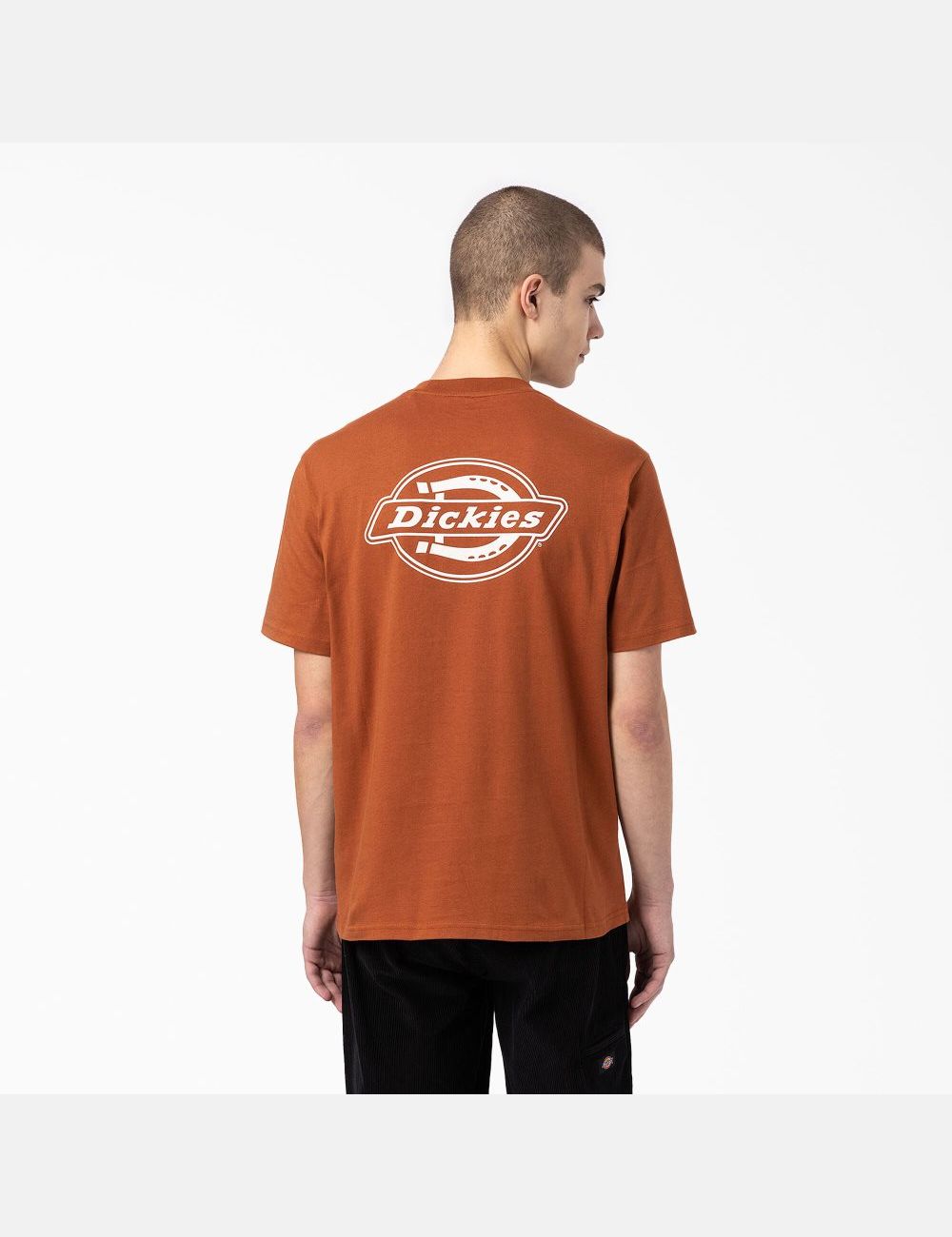 T Shirts Dickies Back Logo Graphique Marron | 253UVXGLK