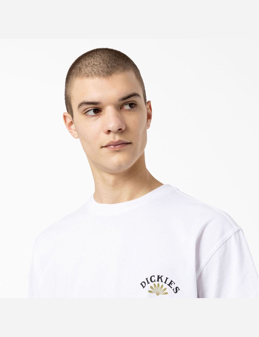 T Shirts Dickies Fort Lewis Graphique Corta Sleeve Blanche | 029FRKJWH