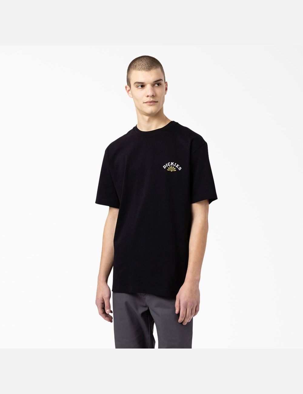 T Shirts Dickies Fort Lewis Graphique Corta Sleeve Noir | 762DTXHQV