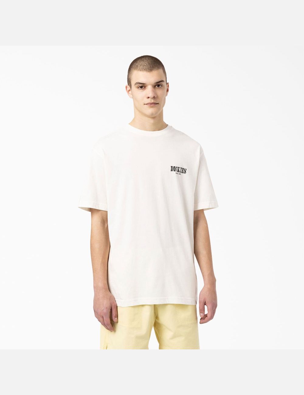 T Shirts Dickies Kelso Graphique Beige | 198MAZYLG