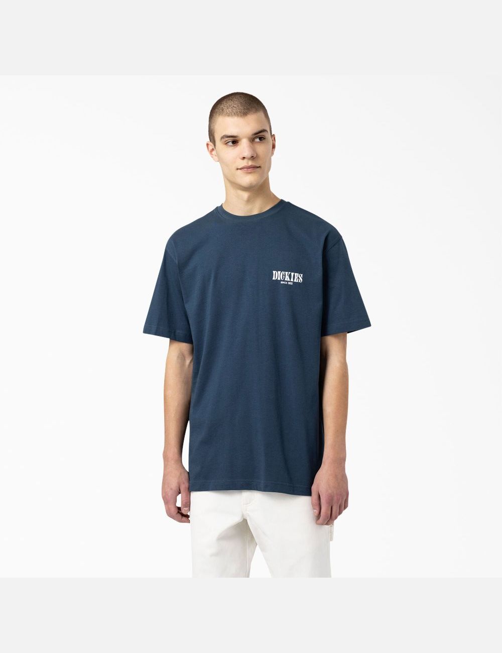 T Shirts Dickies Kelso Graphique Bleu | 659OZCTHV