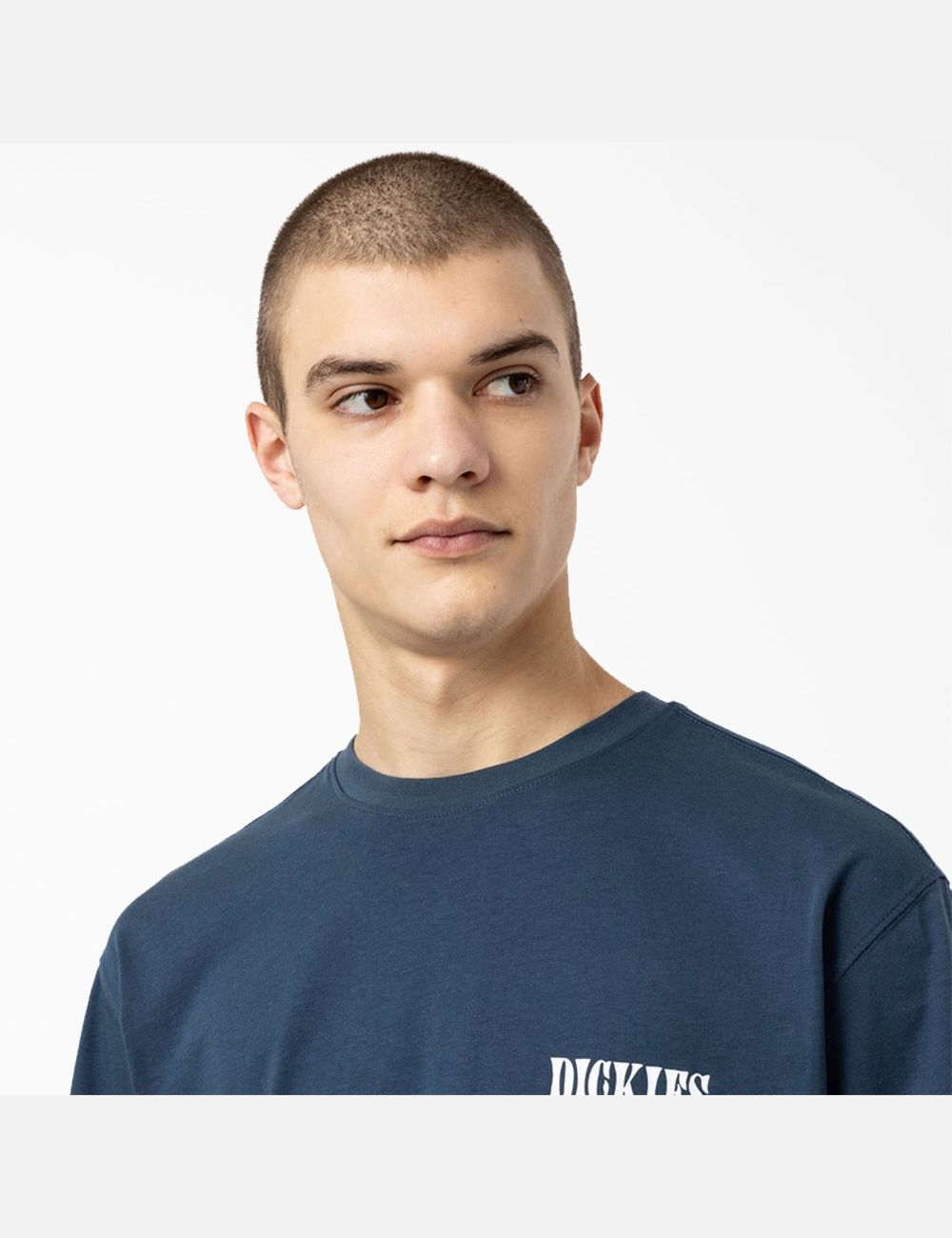 T Shirts Dickies Kelso Graphique Bleu | 659OZCTHV