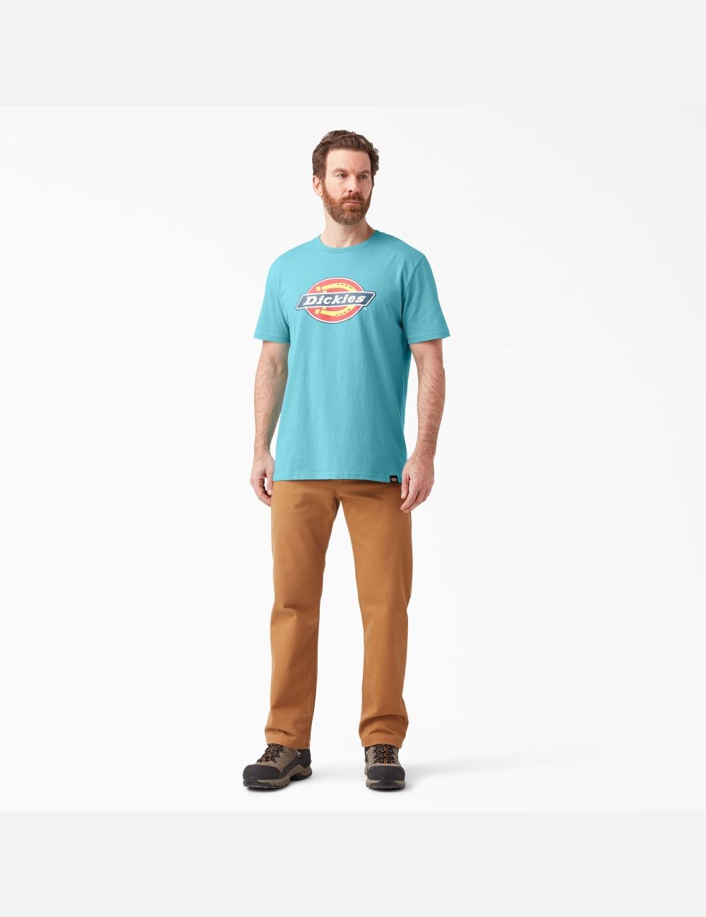 T Shirts Dickies Logo Graphique Multicolore | 412GOQCDH