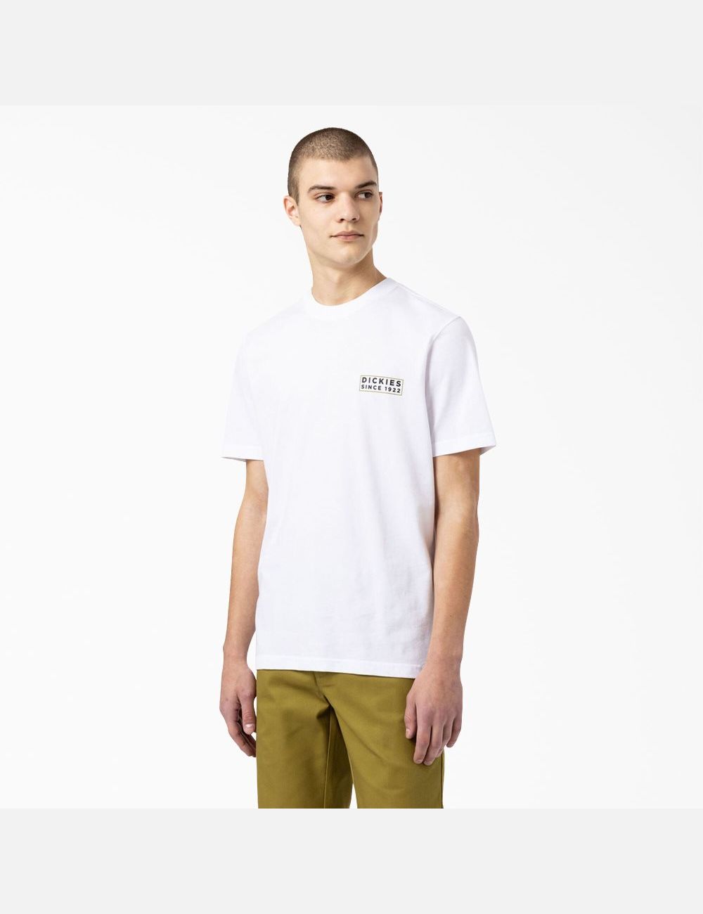 T Shirts Dickies Pacific Graphique Blanche | 542BFDSNL