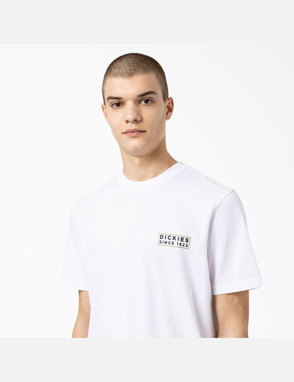 T Shirts Dickies Pacific Graphique Blanche | 542BFDSNL