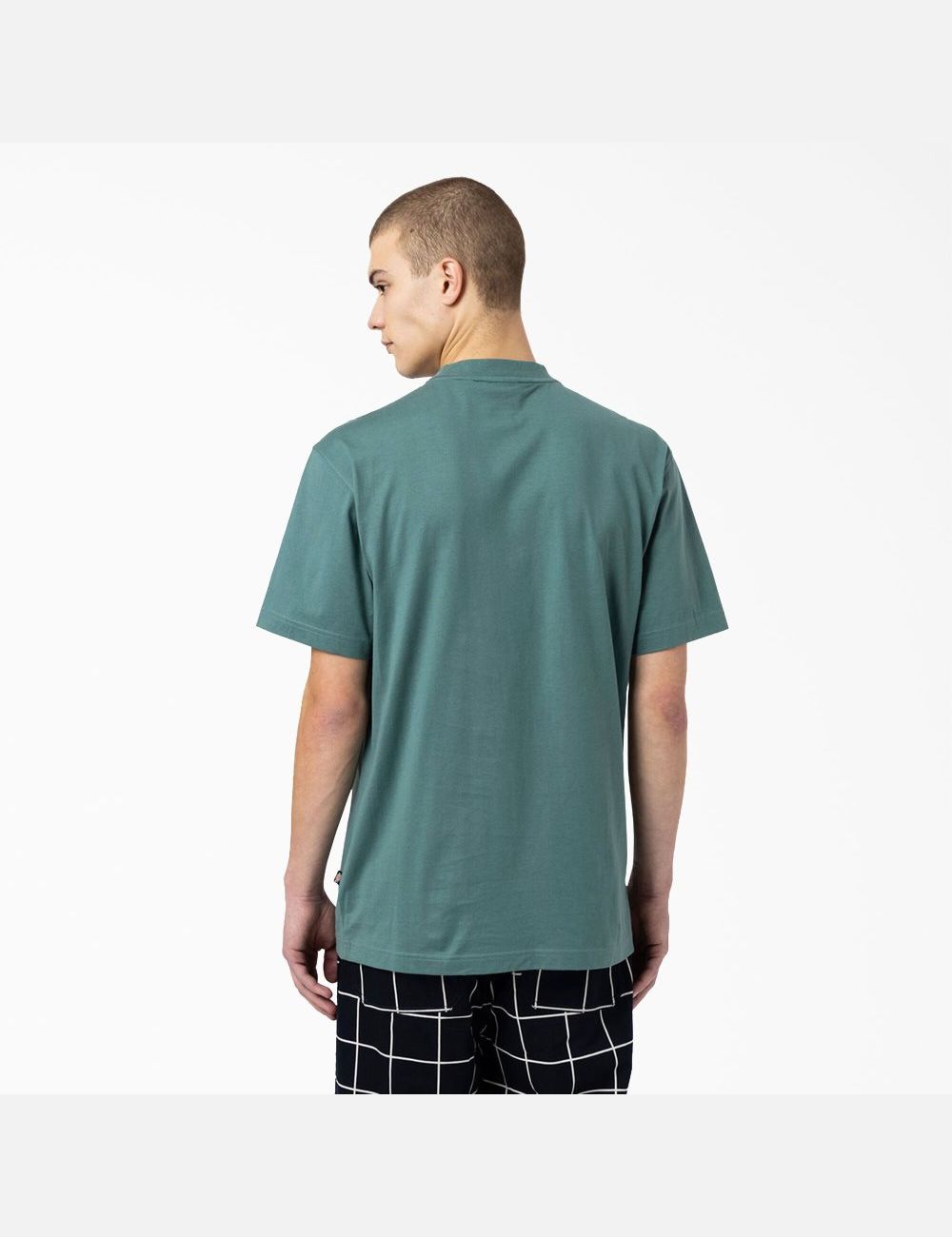 T Shirts Dickies Skateboarding Mount Vista Vert | 347KMRUPG