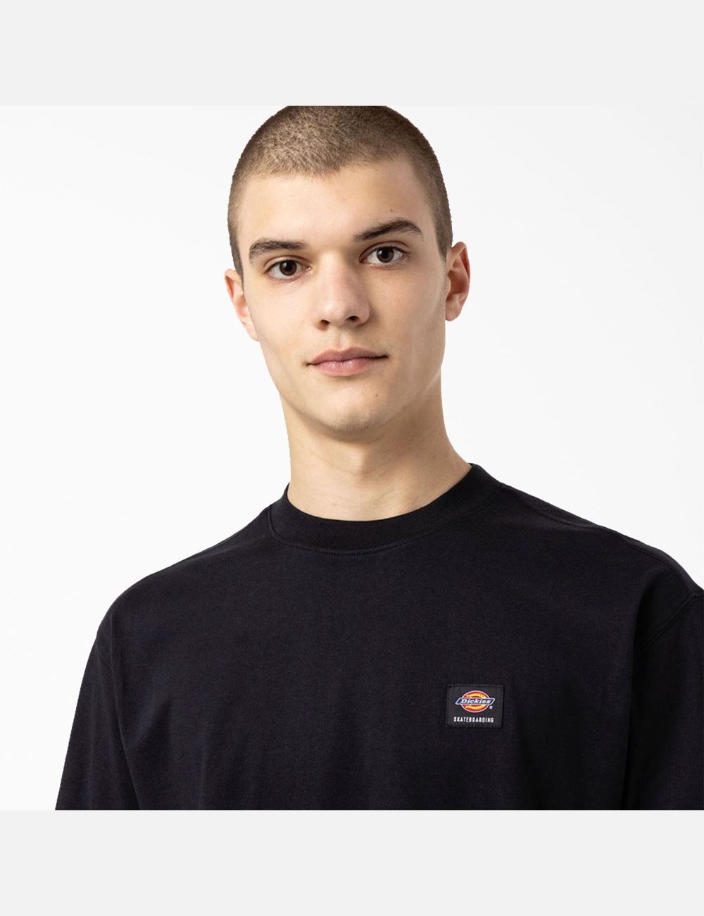 T Shirts Dickies Skateboarding Mount Vista Noir | 367XHTOSV