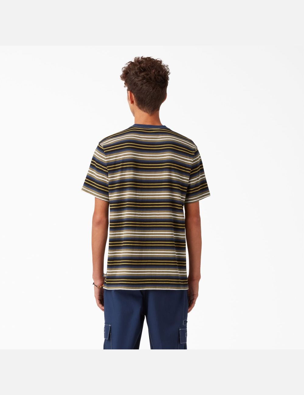 T Shirts Dickies Skateboarding Rayé Noir Stripes | 028WURBGN