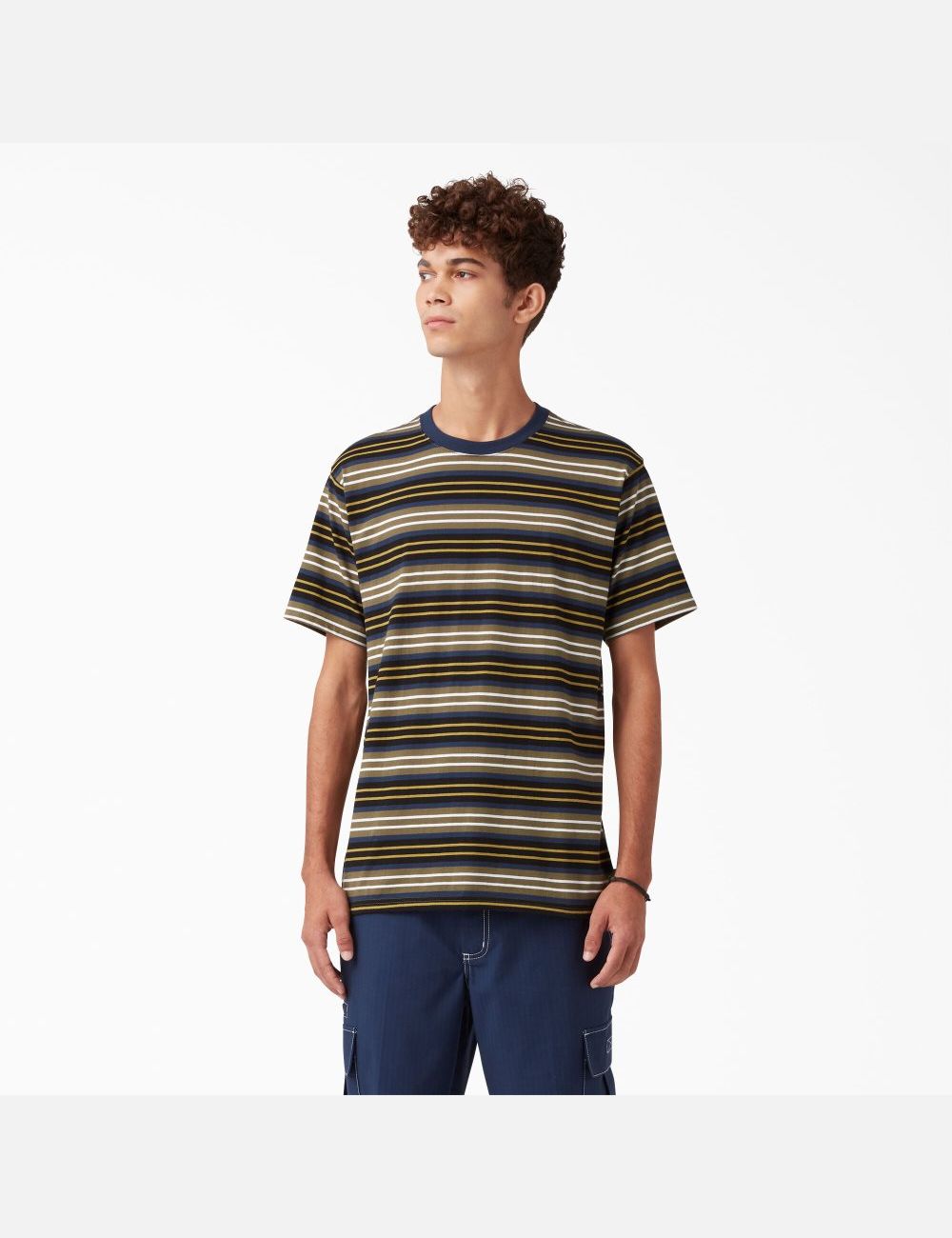 T Shirts Dickies Skateboarding Rayé Noir Stripes | 028WURBGN