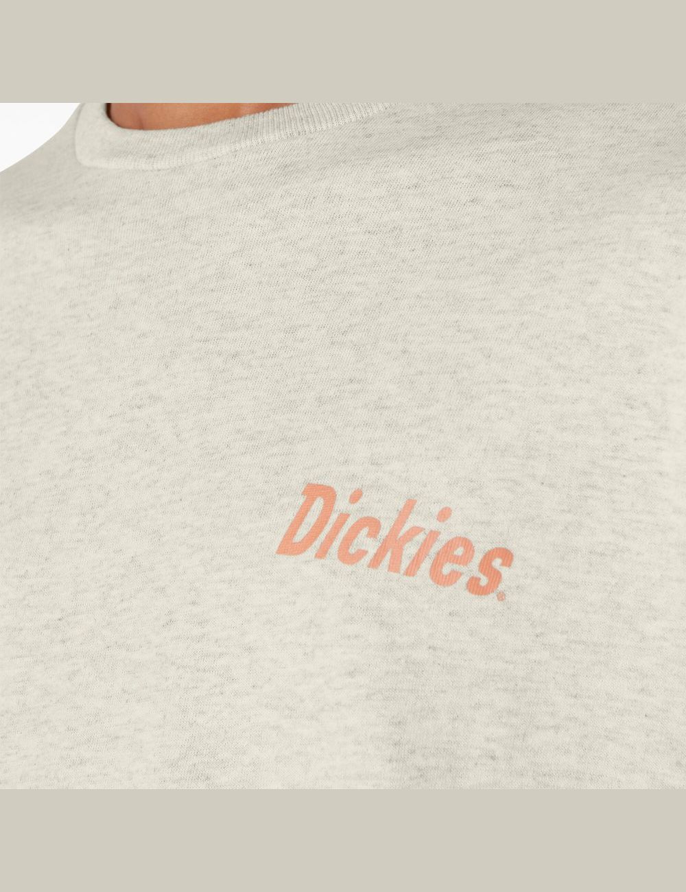 T Shirts Dickies Skateboarding Split Graphique Beige | 235KRXLQE