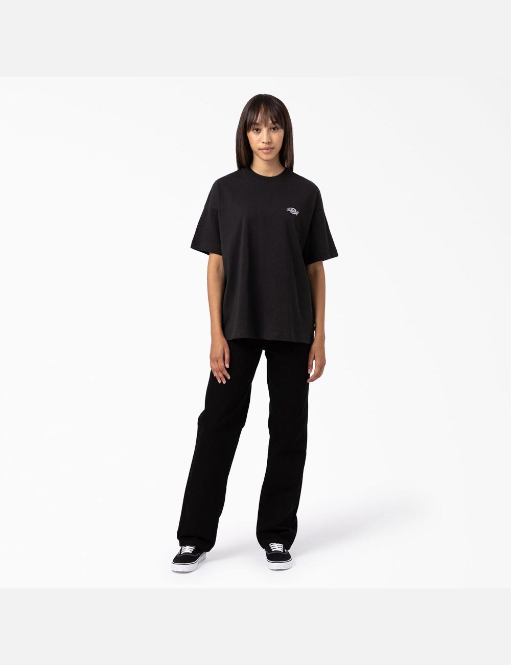 T Shirts Dickies Summerdale Corta Sleeve Noir | 014EZWUQL