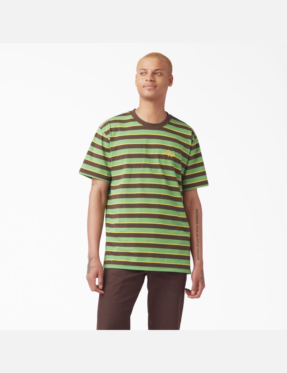 T Shirts Dickies Vincent Alvarez Rayé Vert Stripes | 635UMAQOH