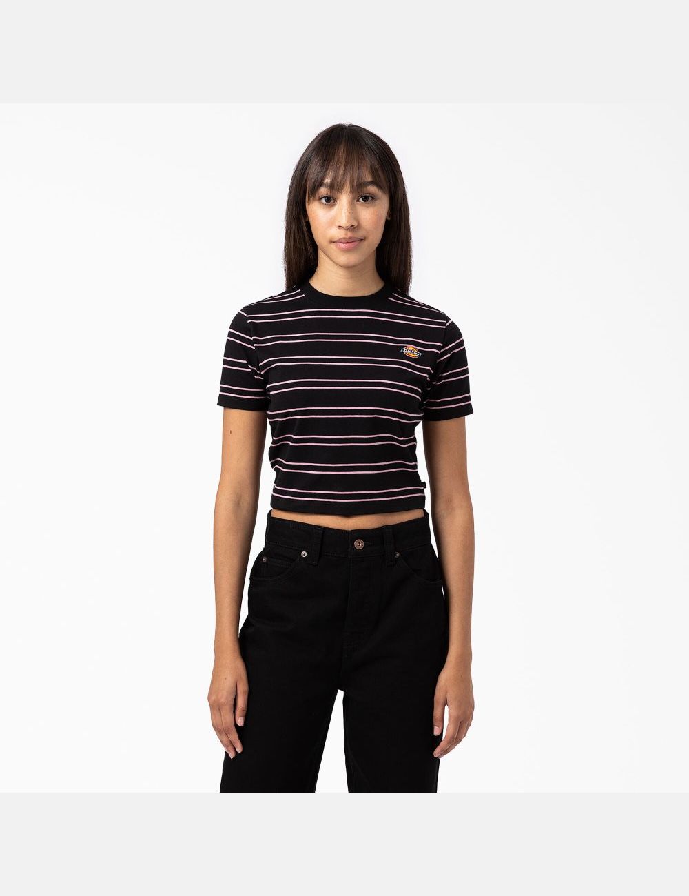 T Shirts Dickies Westover Stripe Corta Sleeve Noir | 765HJABGF