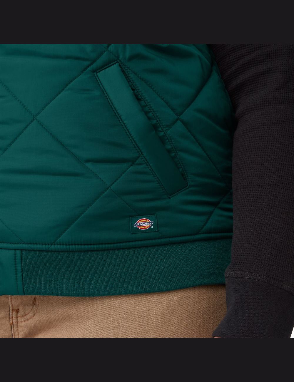 Vêtements D'extérieur Dickies Plus Matelassé Vert | 394MBRDZN